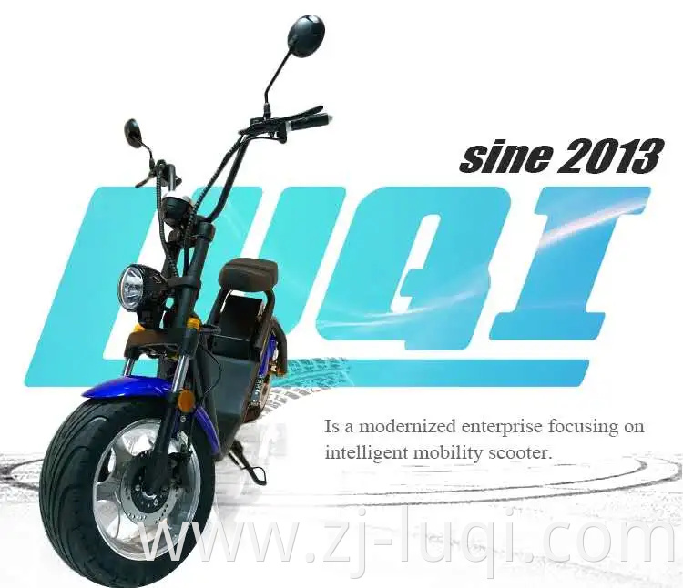 Fashion Long Range Vespa EEC 60V 2000W Lithium Electric Motorcycle Scooter for Adults 